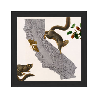 California Squirrels Collaged Map Art Print