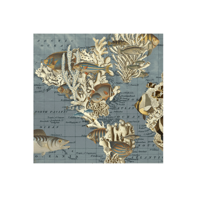 Coral Reef Collaged Map Art Print | all:transparent