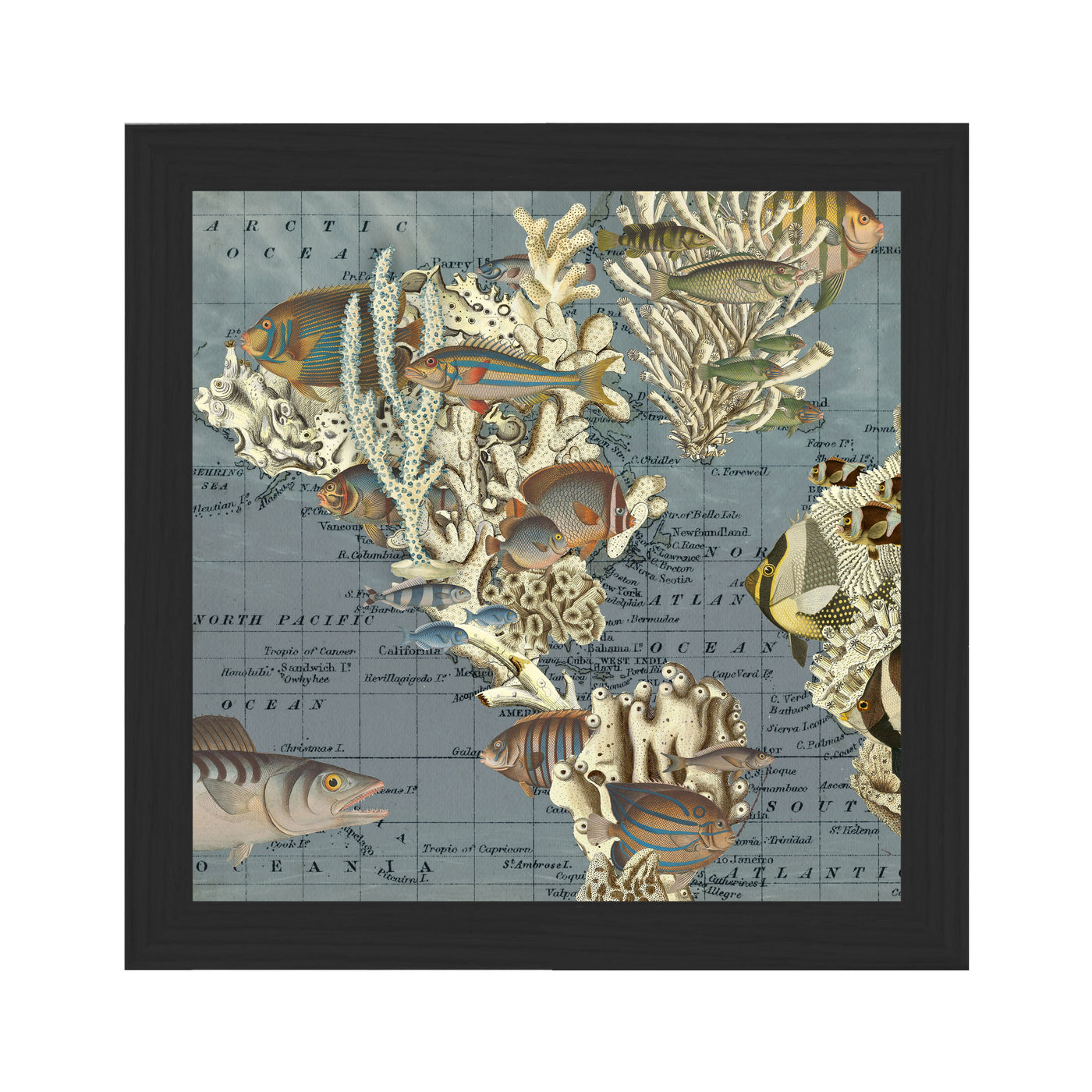 coral reef collaged map art print framed black