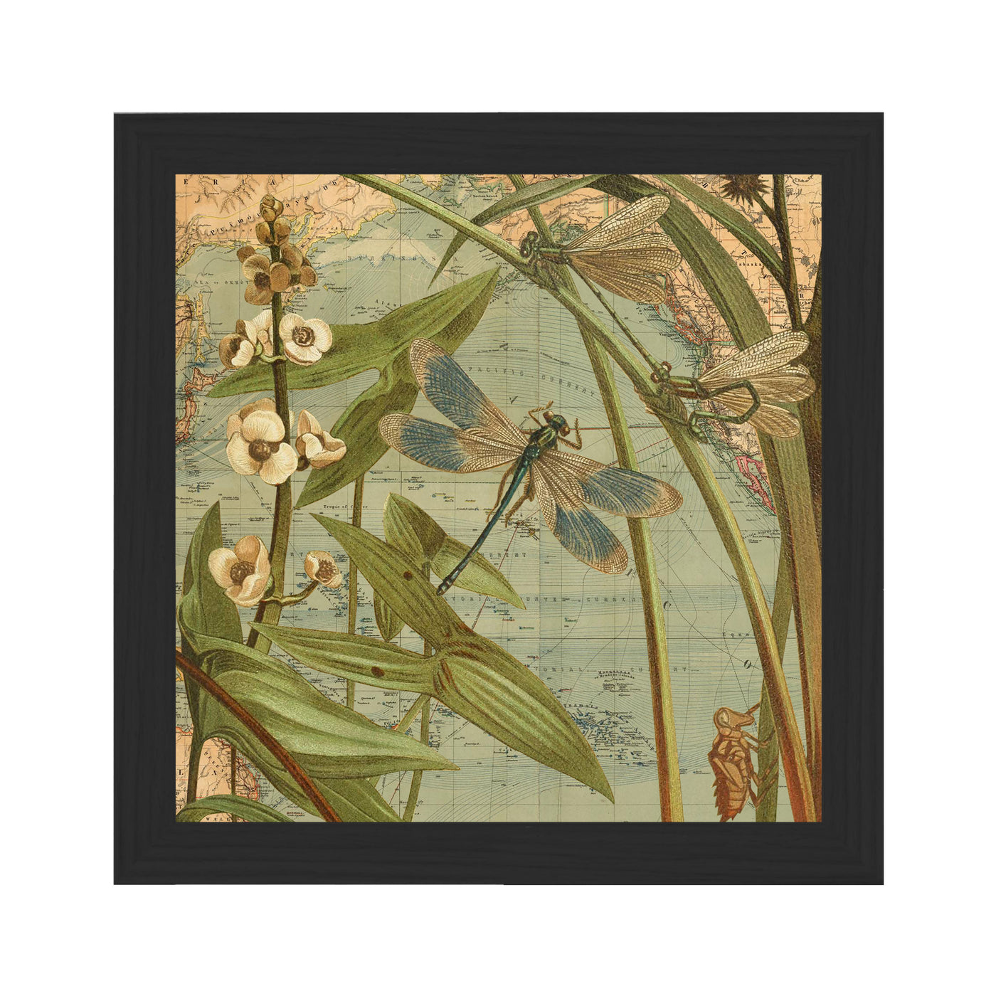 vintage dragonflies map art print framed black
