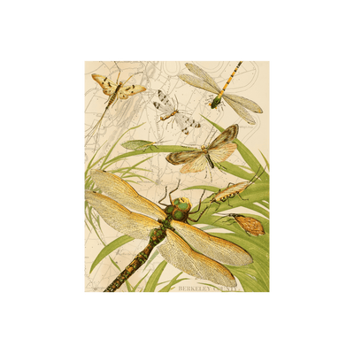 Dragonfly Collaged Map Art Print | all:transparent