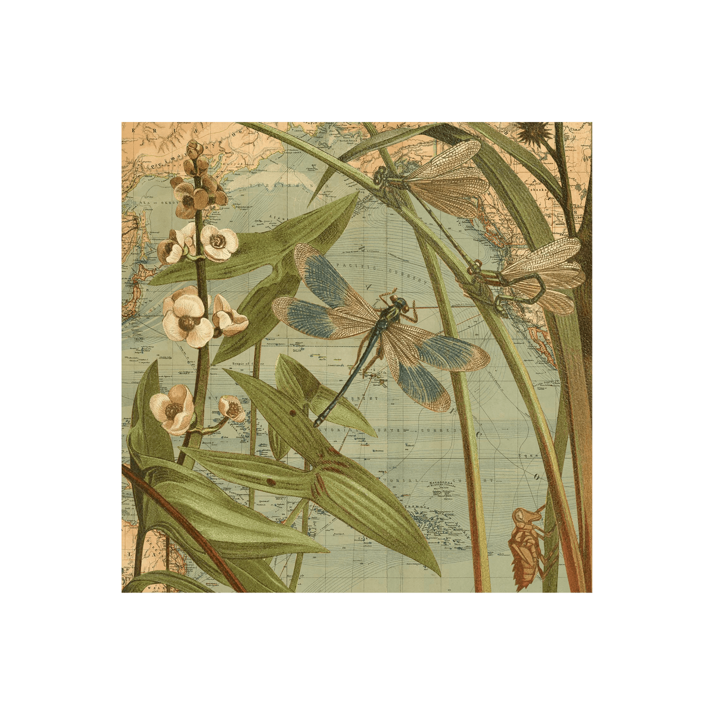 Vintage Dragonflies Collaged Map Art Print | all:transparent