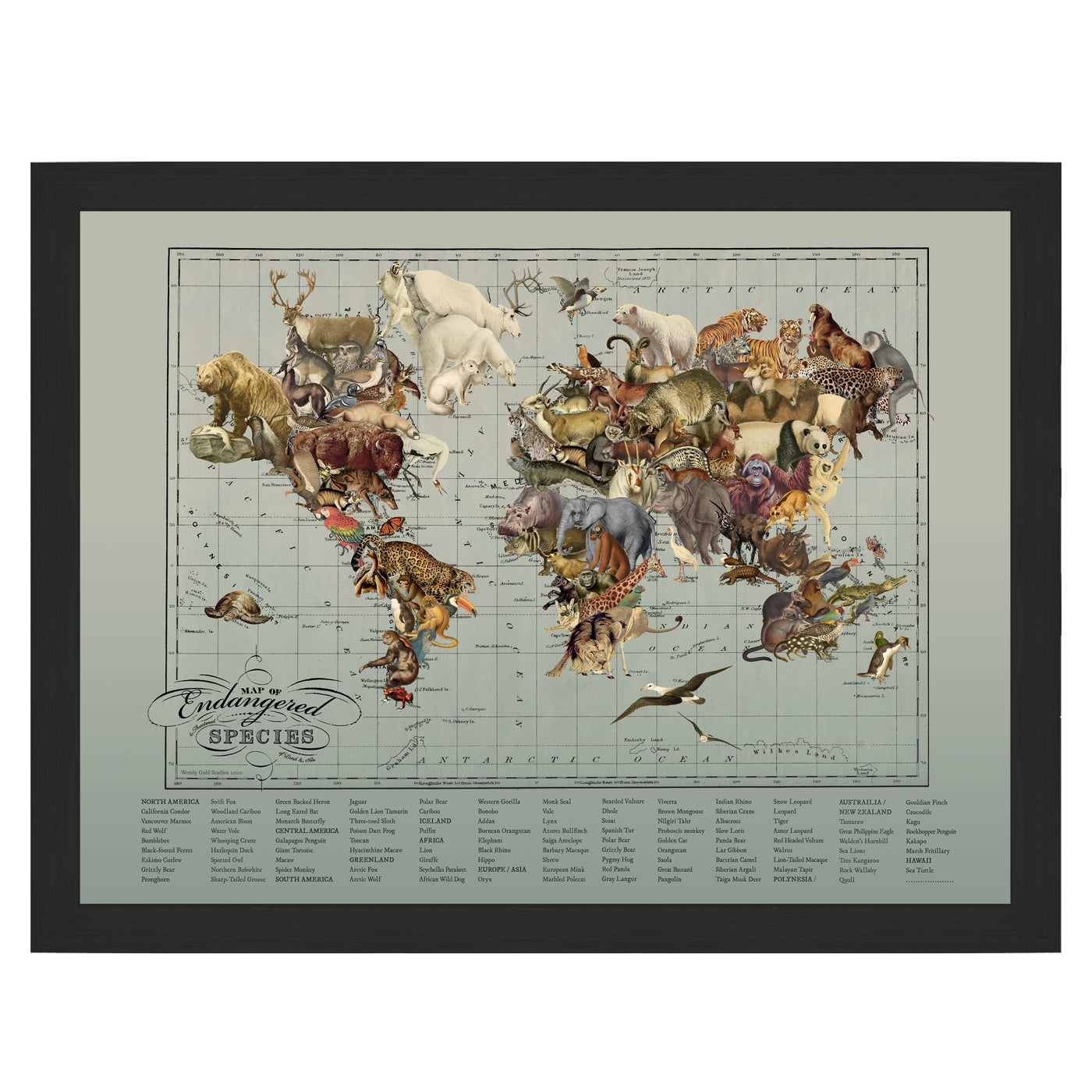 Endangered Animal Species World Map Collage Art framed