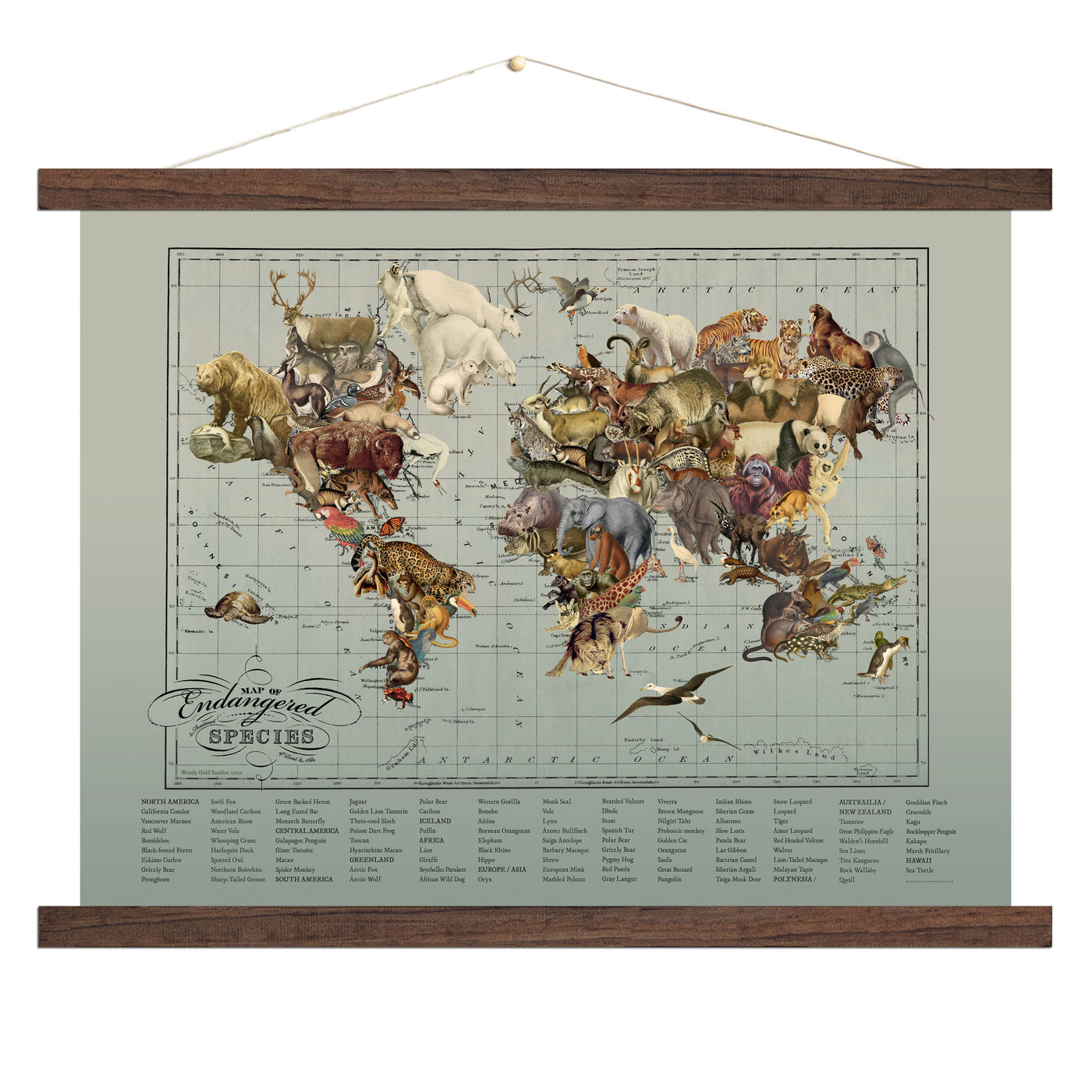 Endangered Animal Species World Map Collage Art wood bound canvas