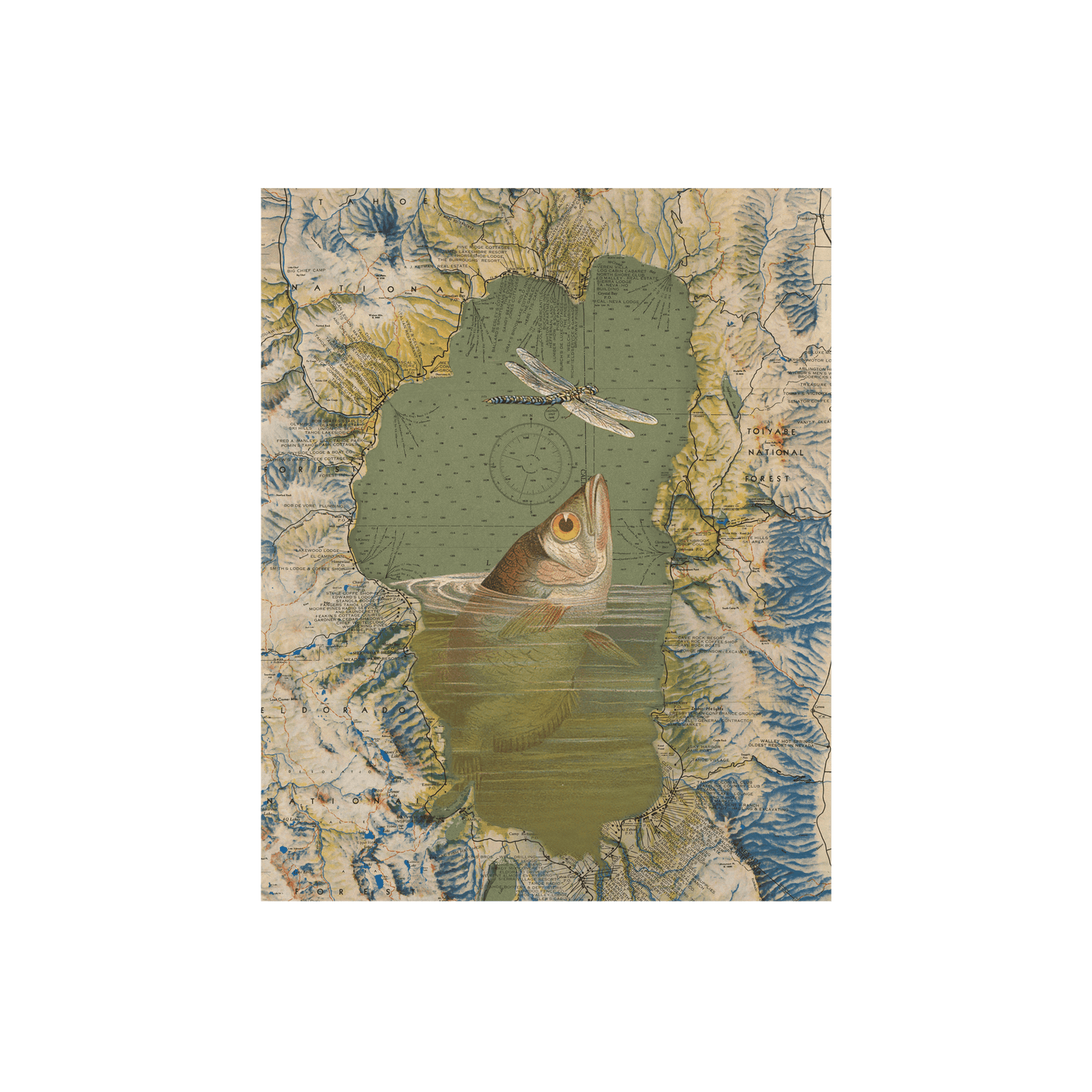 Fish Rising Collaged Map Art Print | all:transparent