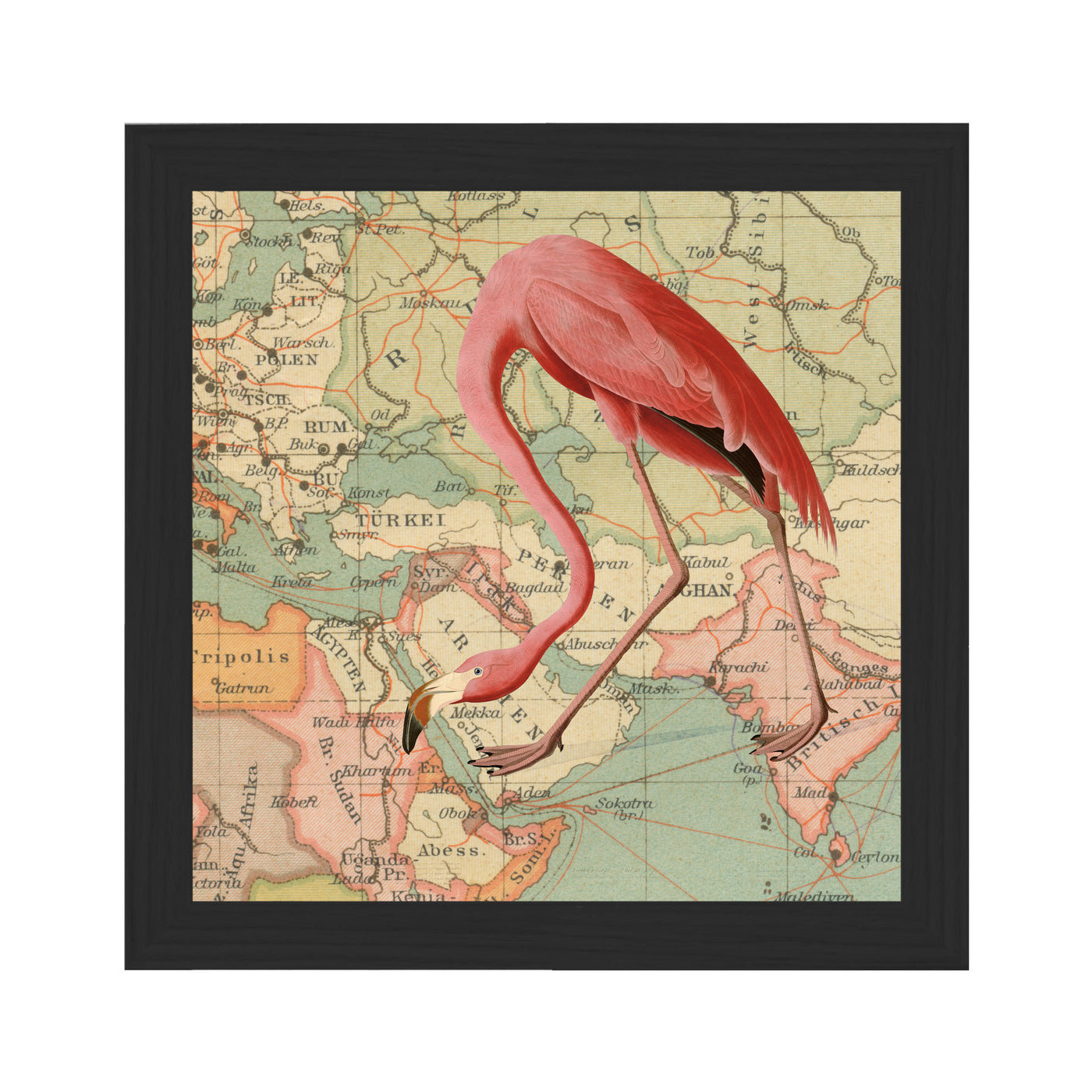 Flamingo Collaged Map Art Print framed black