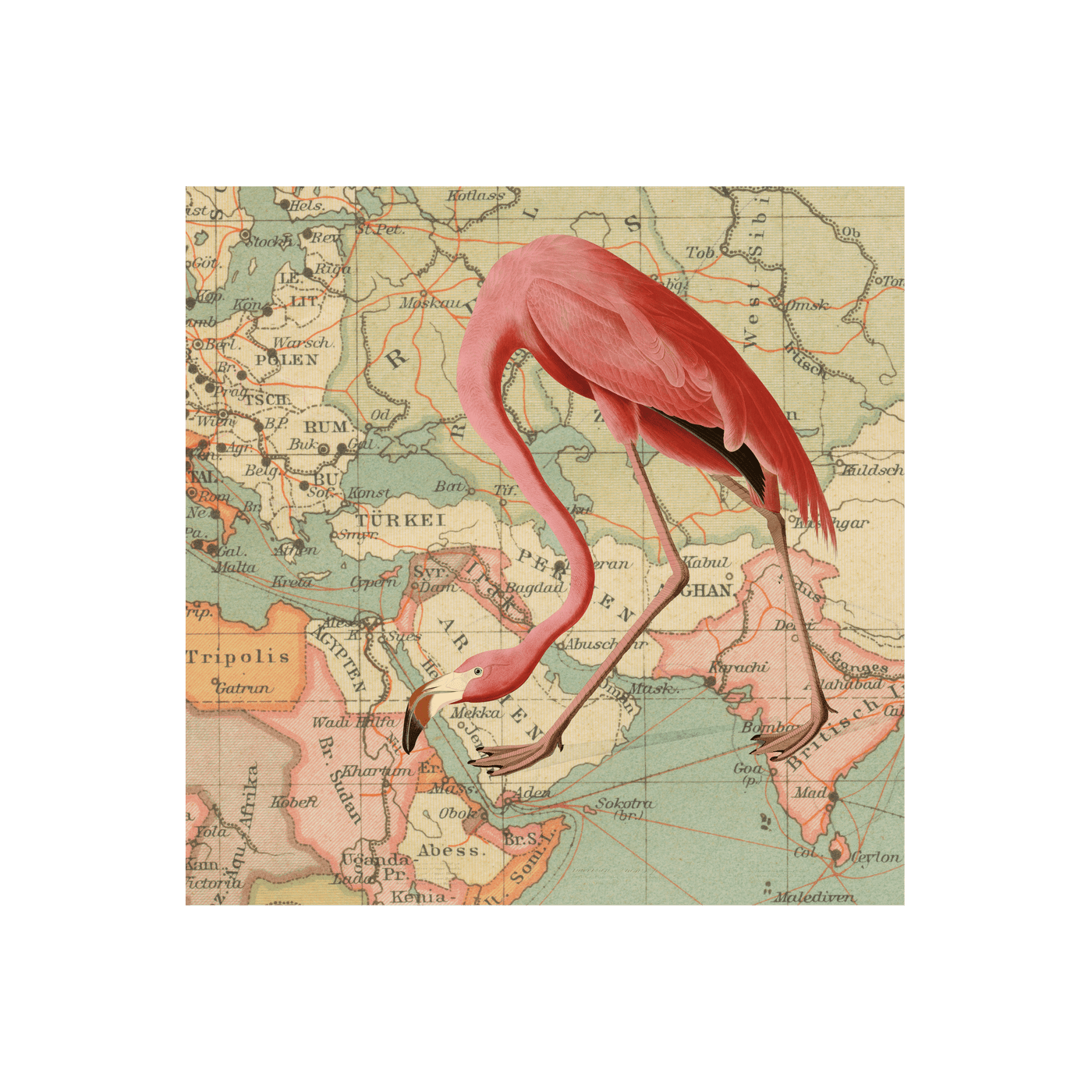 Flamingo Collaged Map Art Print | all:transparent