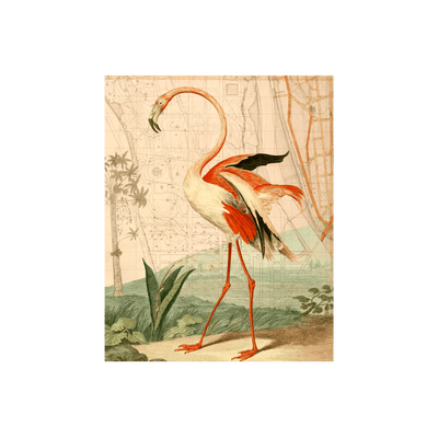 Vintage Flamingo Collaged Map Art Print | all:transparent