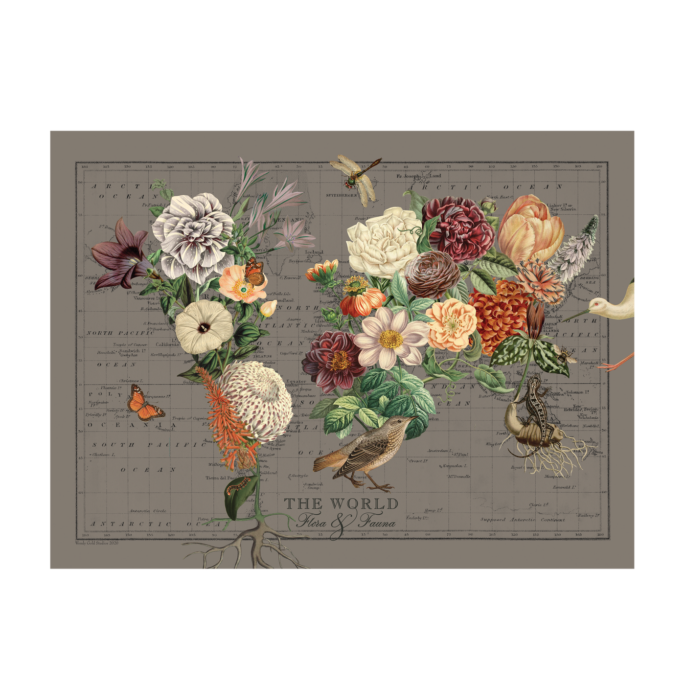 Antique Flora and Fauna Collage Map Art transparent | all:transparent