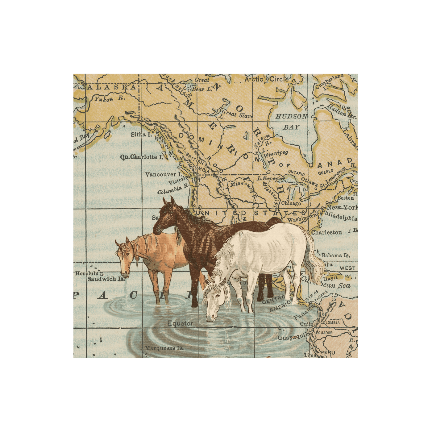 Horses Collaged Map Art Print | all:transparent