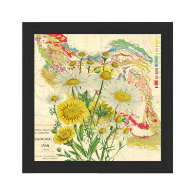 Colorful Daisy Collaged Map Art Print black frame