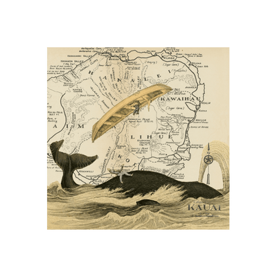 Kauai Whale Collaged Map Art Print | all:transparent