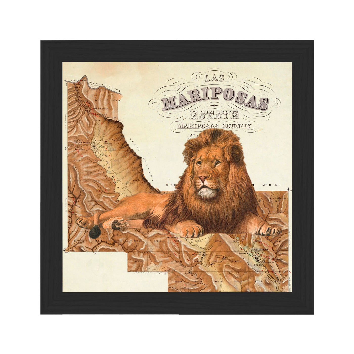 Lion of Mariposa Map Art Collage framed black