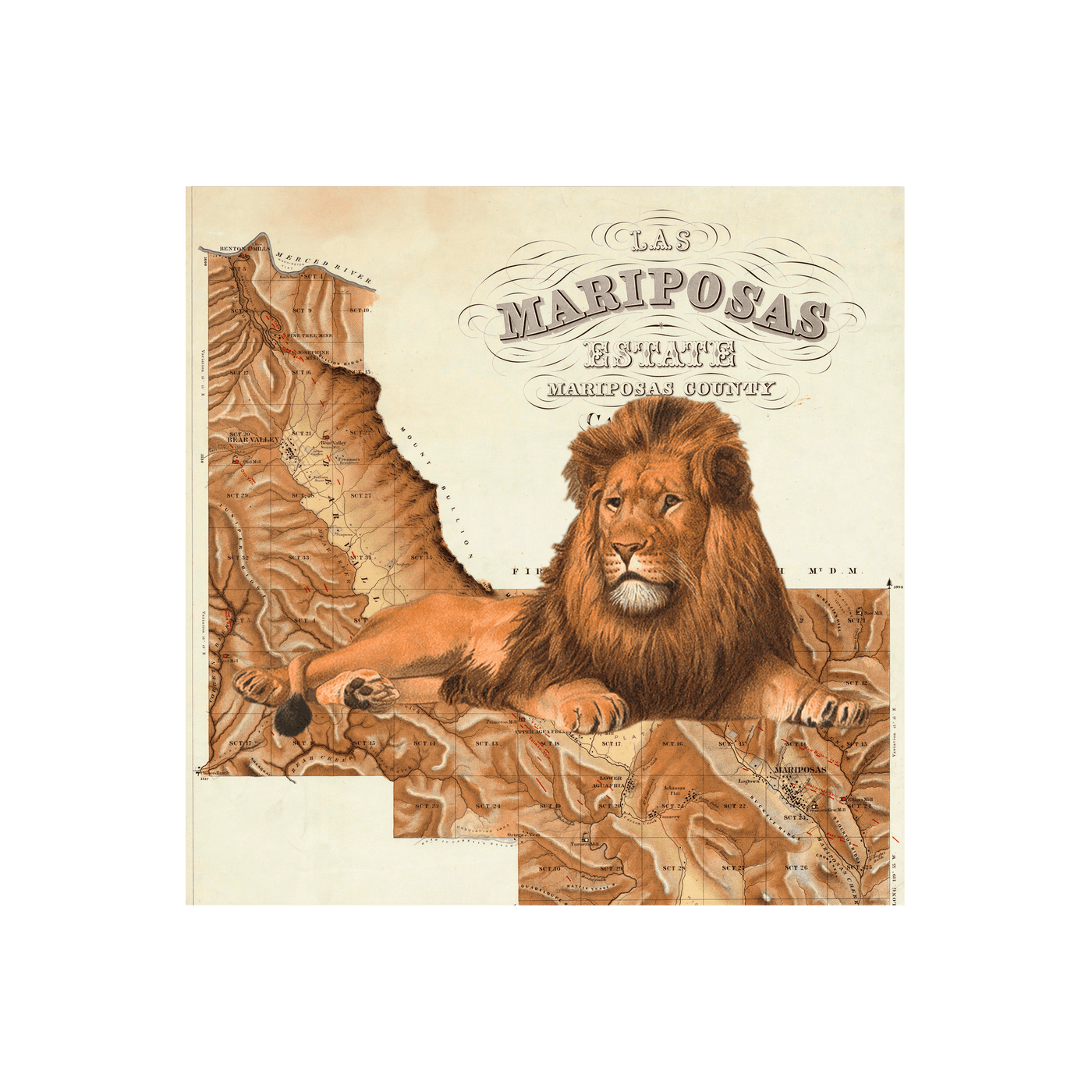 Lion of Mariposa Collaged Map Art | all:transparent