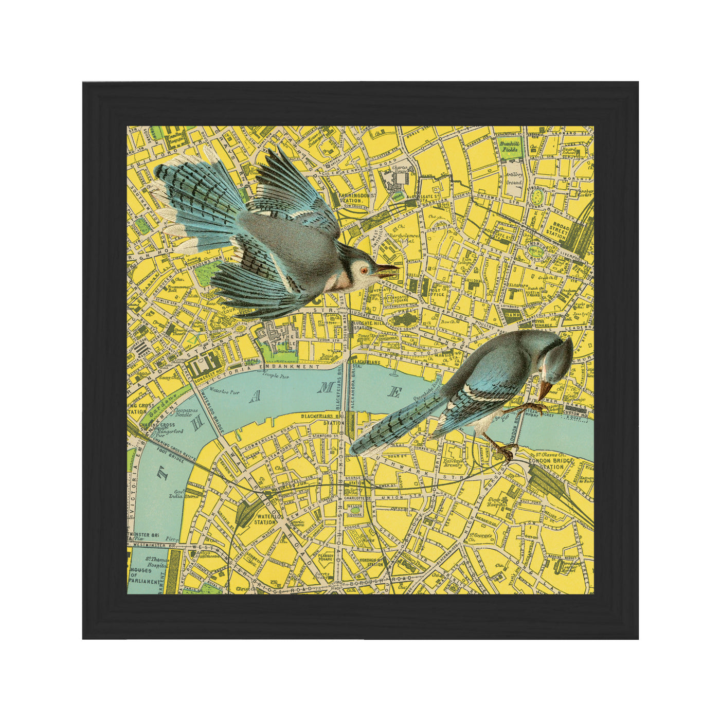 London Birds Collaged Map Art Print framed