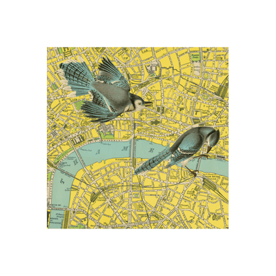 London Birds Collaged Map Art Print | all:transparent