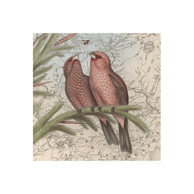 Birds of Love Collaged Map Art Print | all:transparent