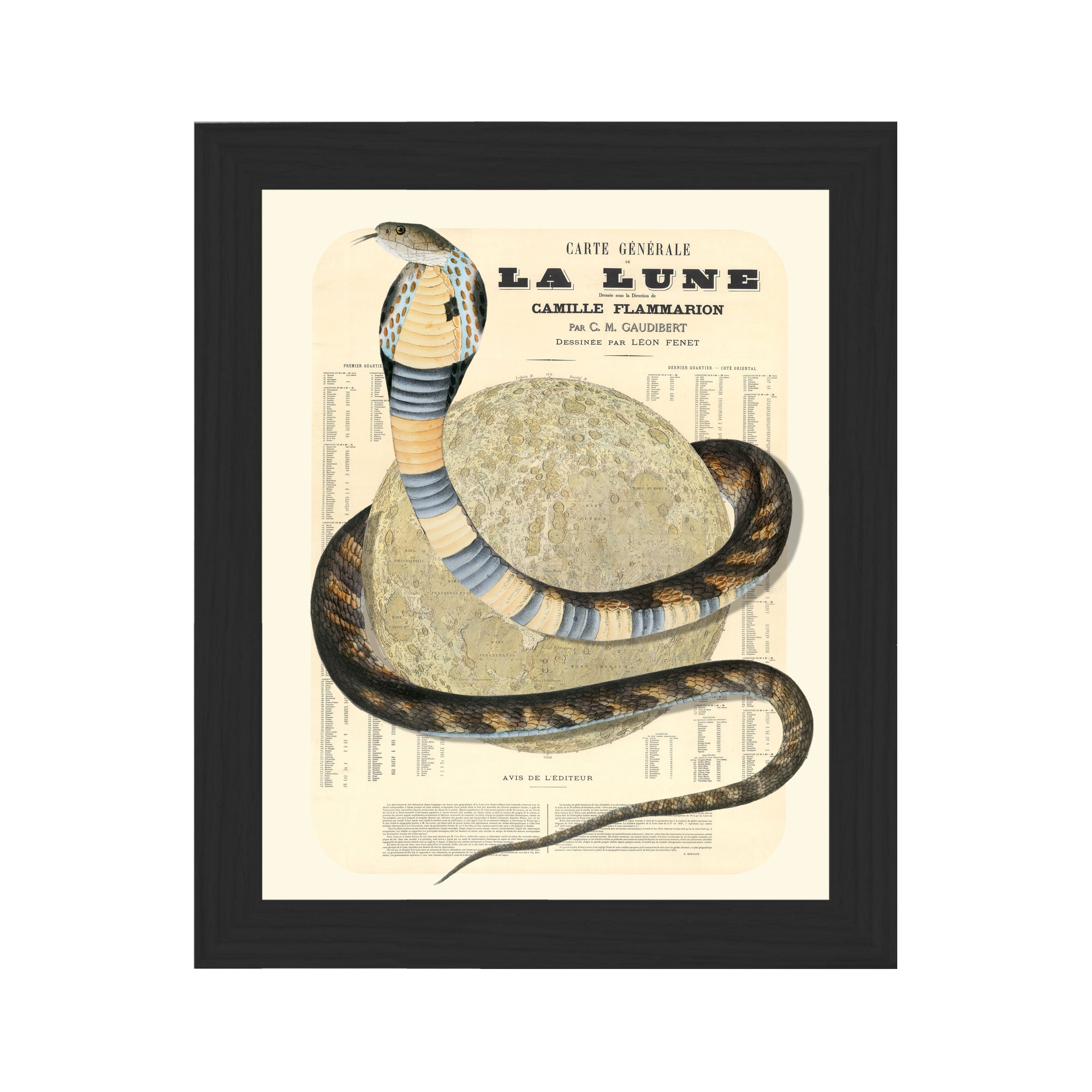 Snake Eclipse Moon Collaged Map Art Vignette – Wendy Gold
