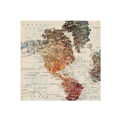 Mushroom World Collaged Map Art Print | all:transparent
