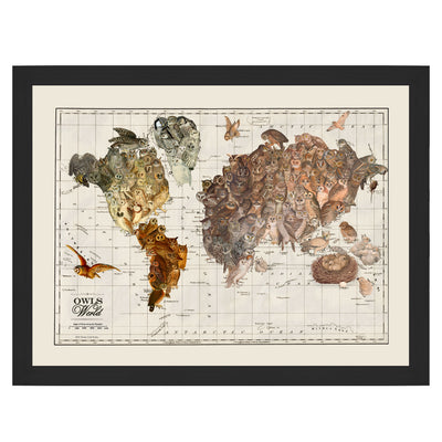Owl Map of the World Collage Art framed