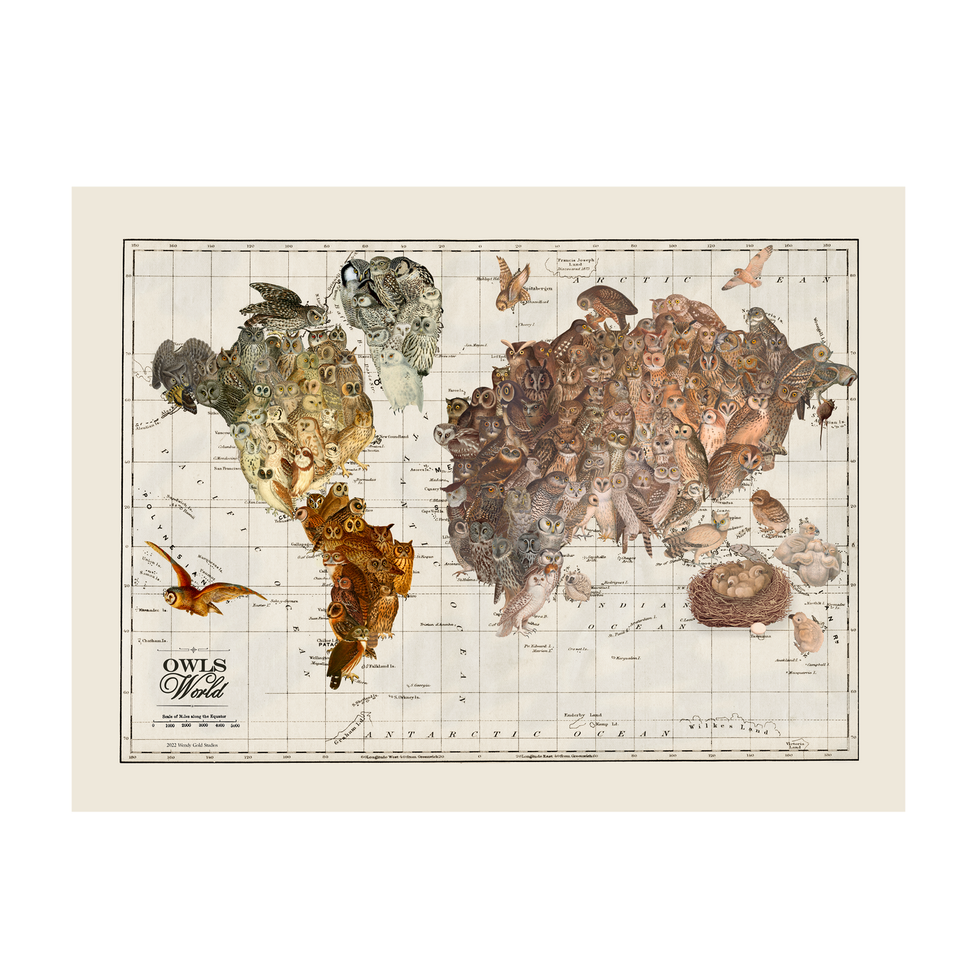 Owl Map of the World Collage Art transparent | all:transparent