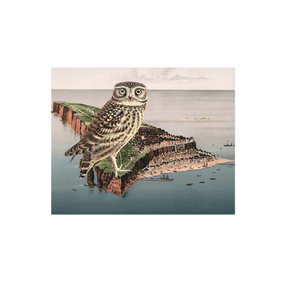 Wise Owl Collaged Map Art Print | all:transparent