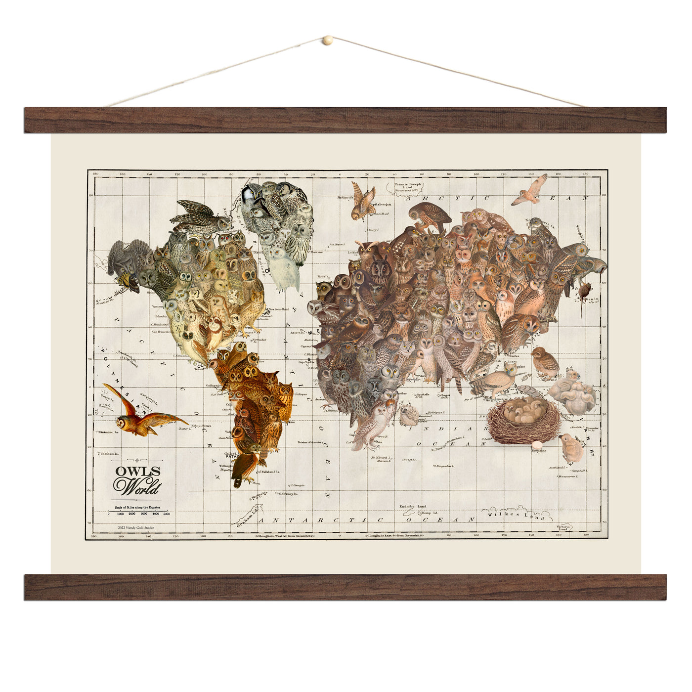 Owl Map of the World Collage Art wood bound canvas