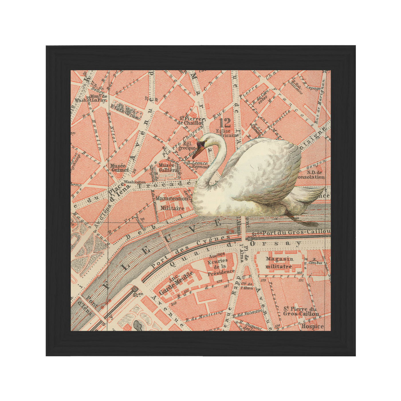 Paris Swan Collaged Map Art Print framed