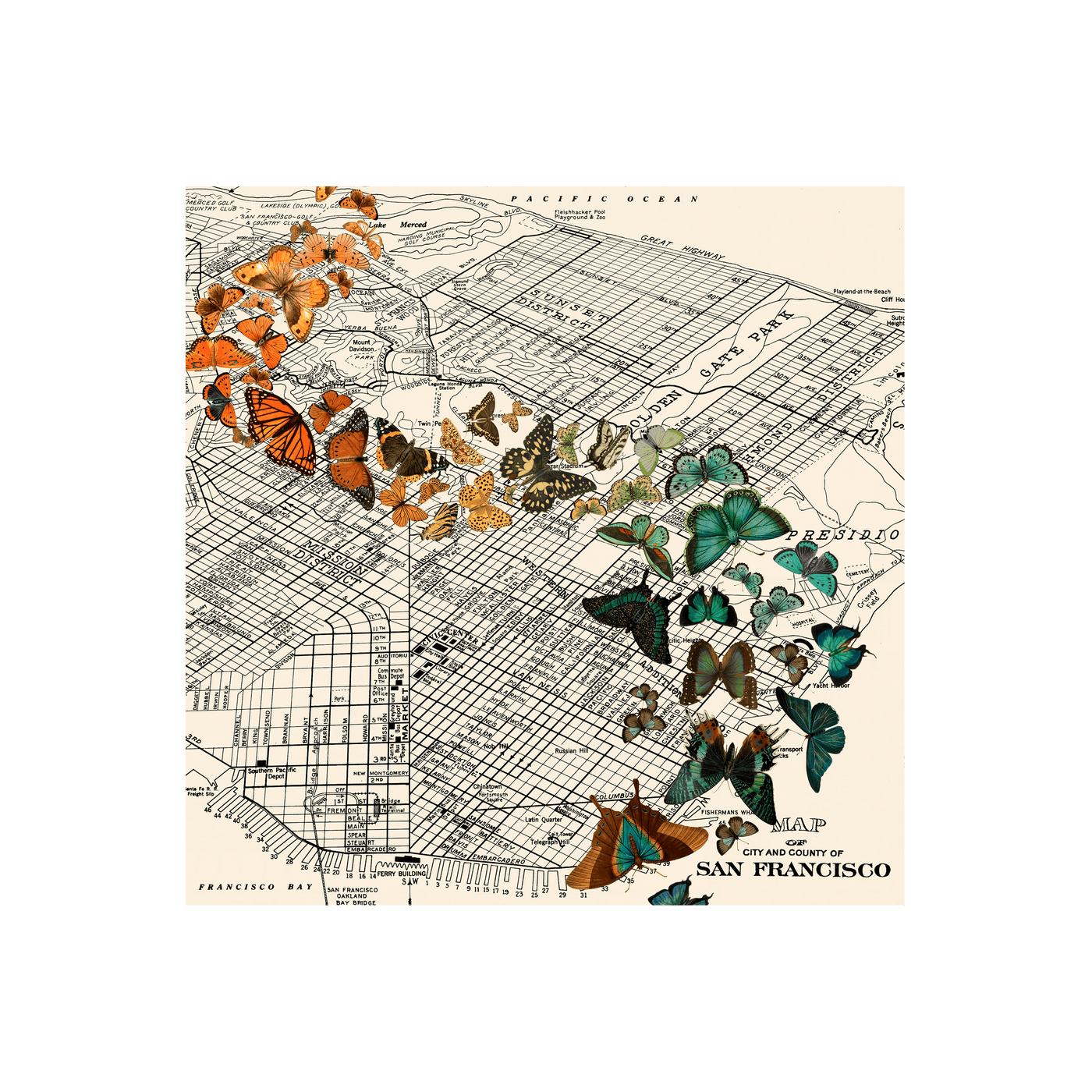 San Francisco Butterflies Collaged Map Art Print | all:transparent