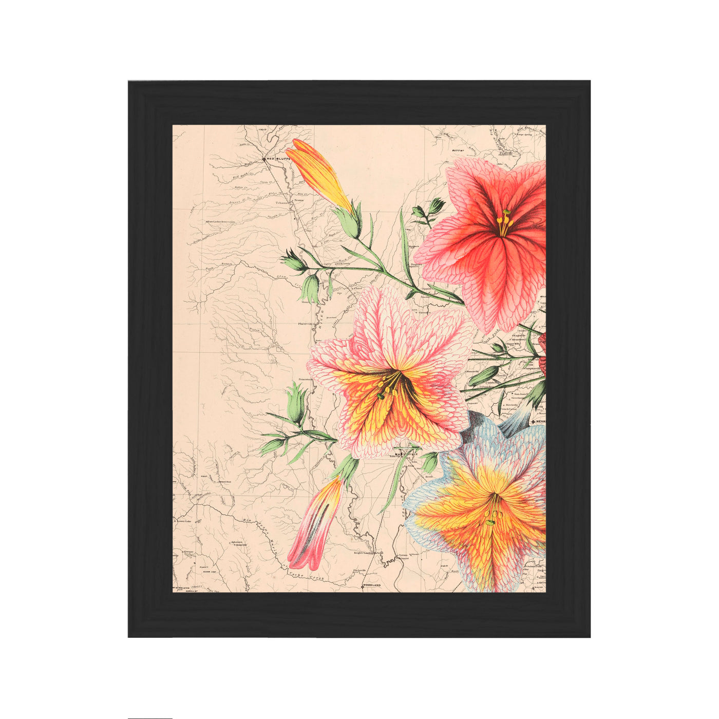 Floral Bloom Collaged Map Art Print framed black