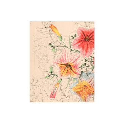 Floral Bloom Collaged Map Art Print | all:transparent
