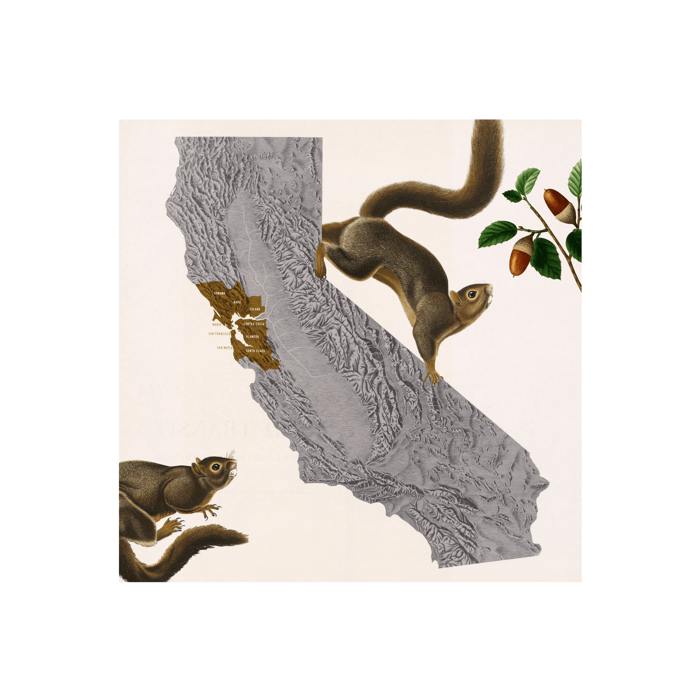 California Squirrels Collaged Map Art Print | all:transparent