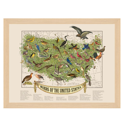 USA State Bird Map Collage Art framed print