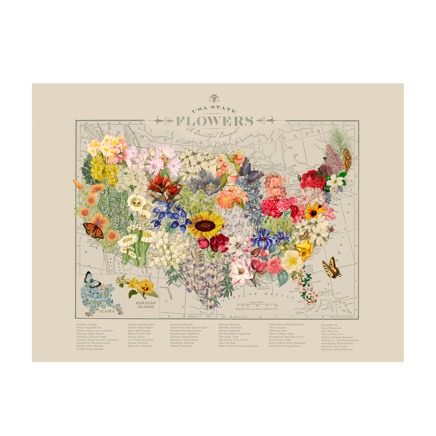 USA State Flower Map Collage Art transparent | all:transparent