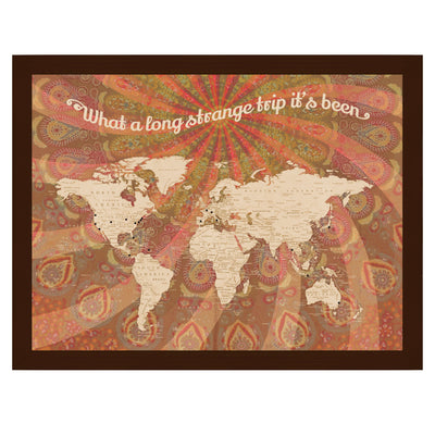 Summer of Love World Travel Pushpin Map framed