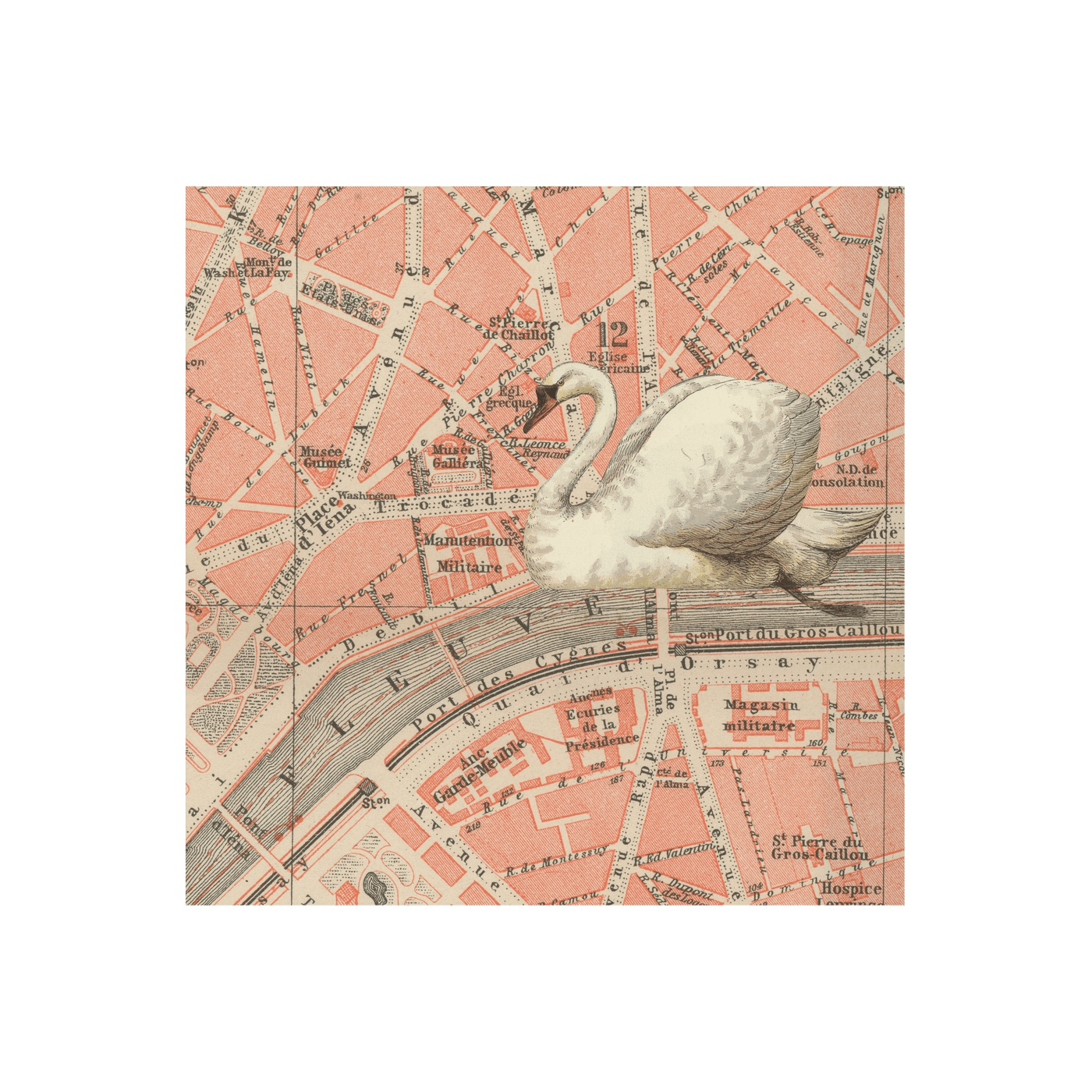 Paris Swan Collaged Map Art Print | all:transparent