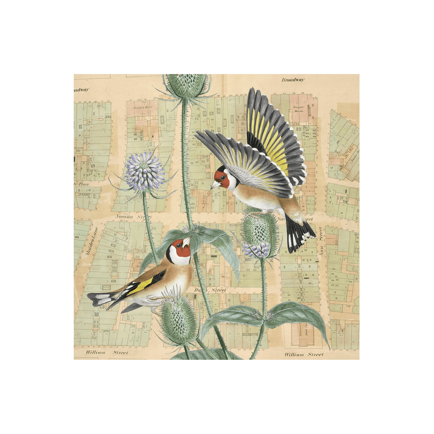 Birds and Thistle Collaged Map Art Print | all:transparent