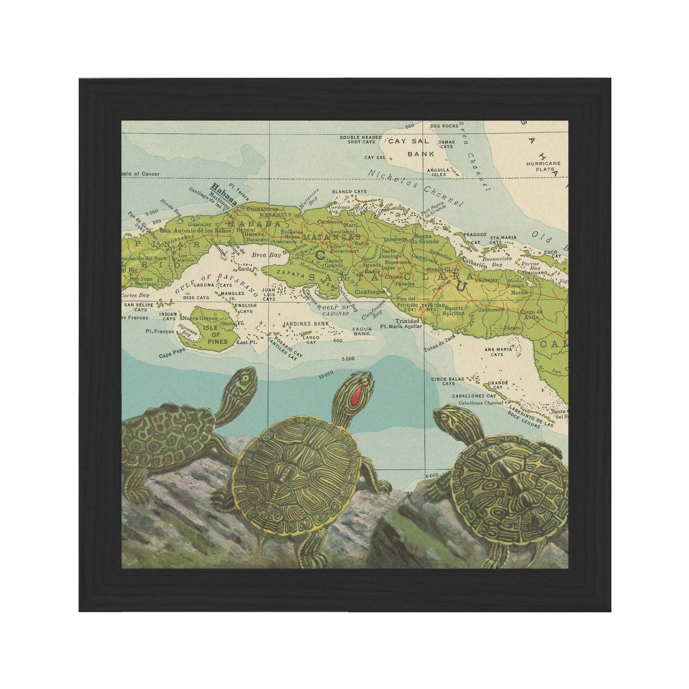 Turtles in Cuba Collage Art Print black frame