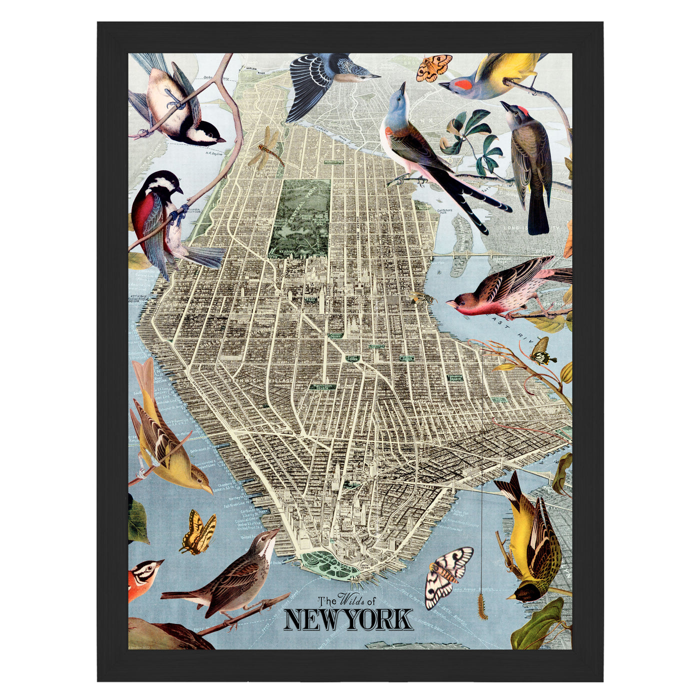 Wild Birds of New York City Map Collage Art framed