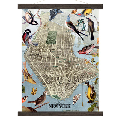 Wild Birds of New York City Map Collage Art wood bound canvas
