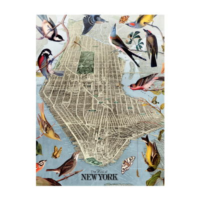 Wild Birds of New York City Map Collage Art transparent | all:transparent