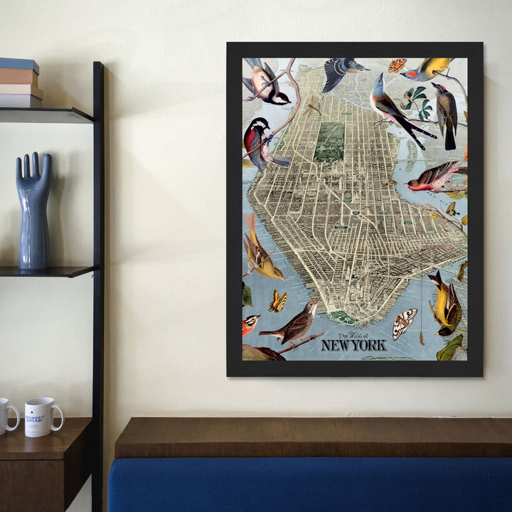 wildslifestyle_720x.jpg?v=