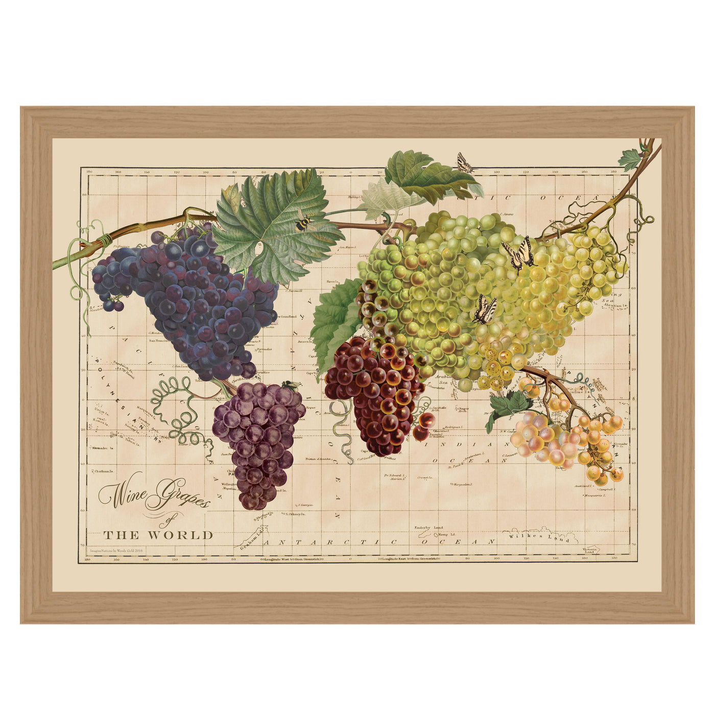 Vintage Wine Grapes of the World Map Art framed