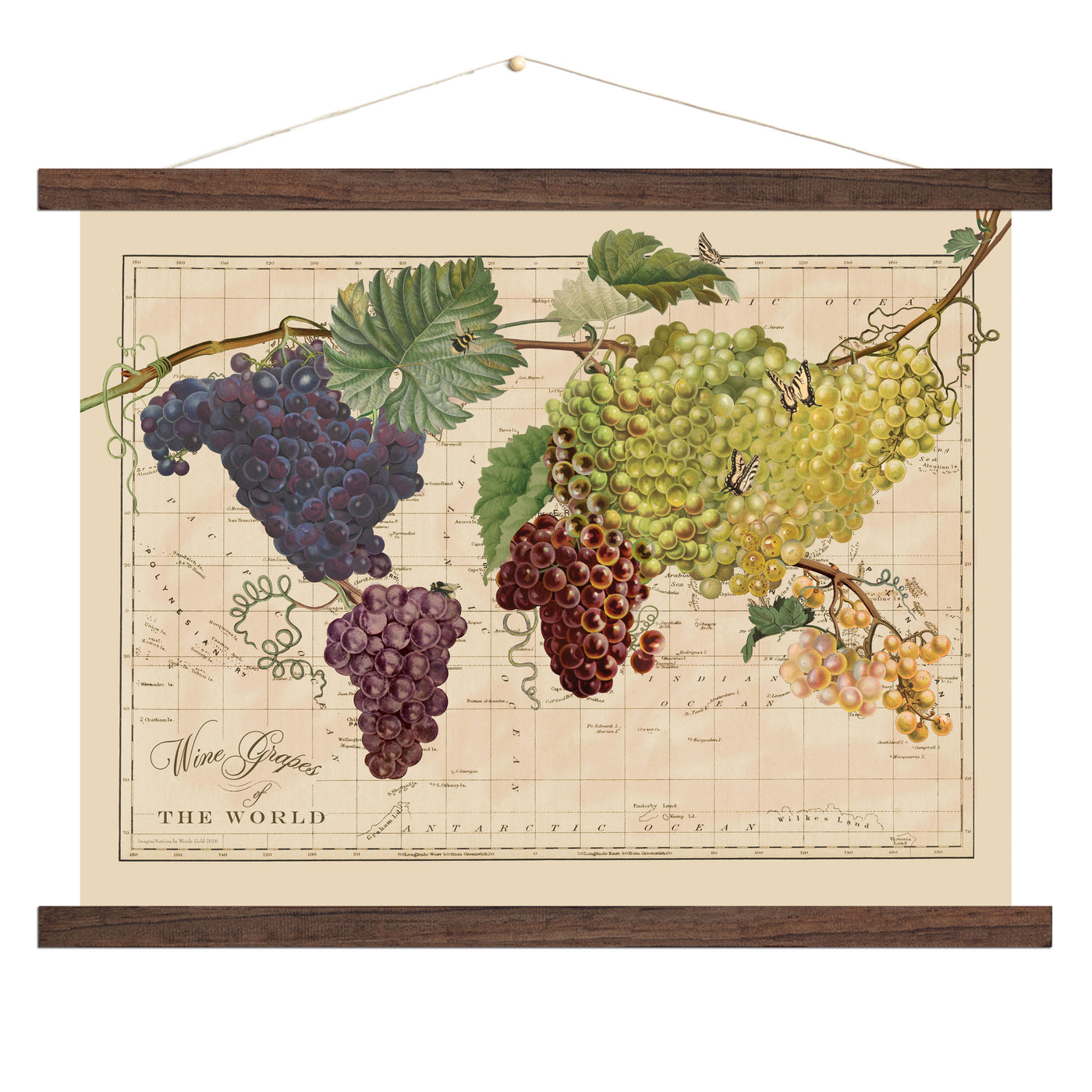Vintage Wine Grapes of the World Map Art wood bound canvas