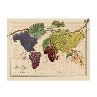 Vintage Wine Grapes of the World Map Art transparent | all:transparent