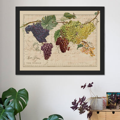 Vintage Wine Grapes of the World Map Art lifestyle